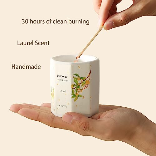 Modoray Scented Candle, Candles for Home Scented, Aromatherapy Candle,Long Lasting Natural ModorayBuy Supplements Australia