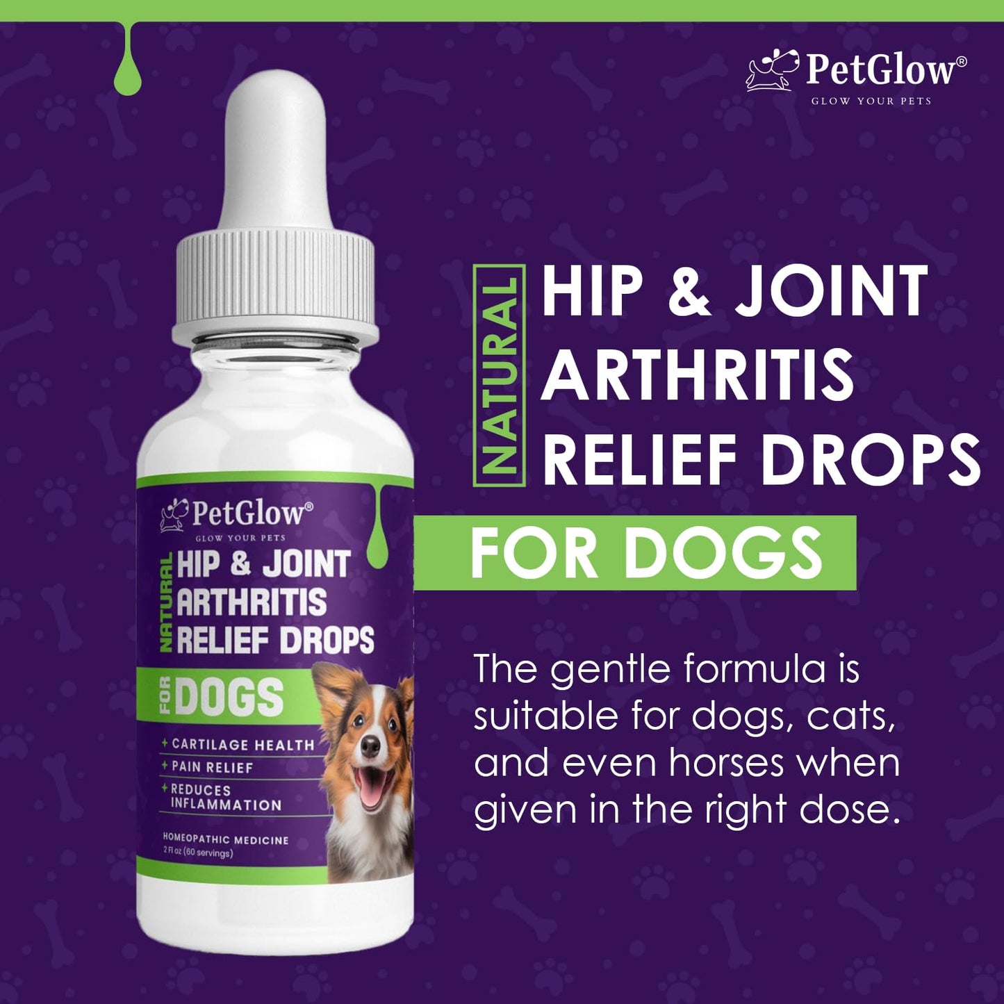 Petglow® Natural Hip & Joint Arthritis Relief Drops with Curcumin & Boswellia, Homeopathic Anti-Inflammatory Formula for Dogs, Cats & Horses, Supports Flexibility, Comfort & Mobility Naturally PetglowBuy Supplements Australia