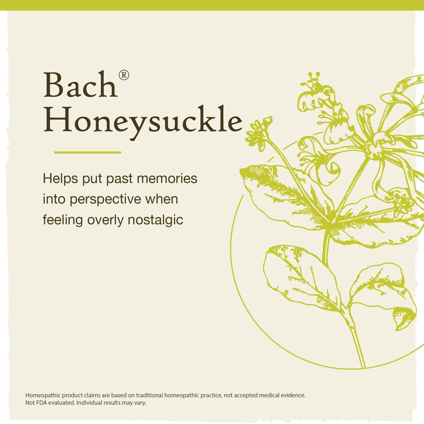Bach Original Flower Remedies, Honeysuckle for Embracing The Now (Non-Alcohol Formula) BachBuy Supplements Australia