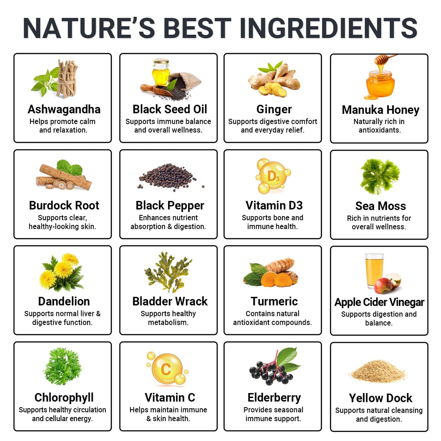 Sea Moss Gummies 16-in-1 - Ashwagandha Black Seed Oil Bladder Wrack Turmeric Vitamin C & D3 with Manuka Burdock Root Dandelion Yellow Dock Natural Detox & Liver Health Immune Support, Energy Boost GRGTPBuy Supplements Australia