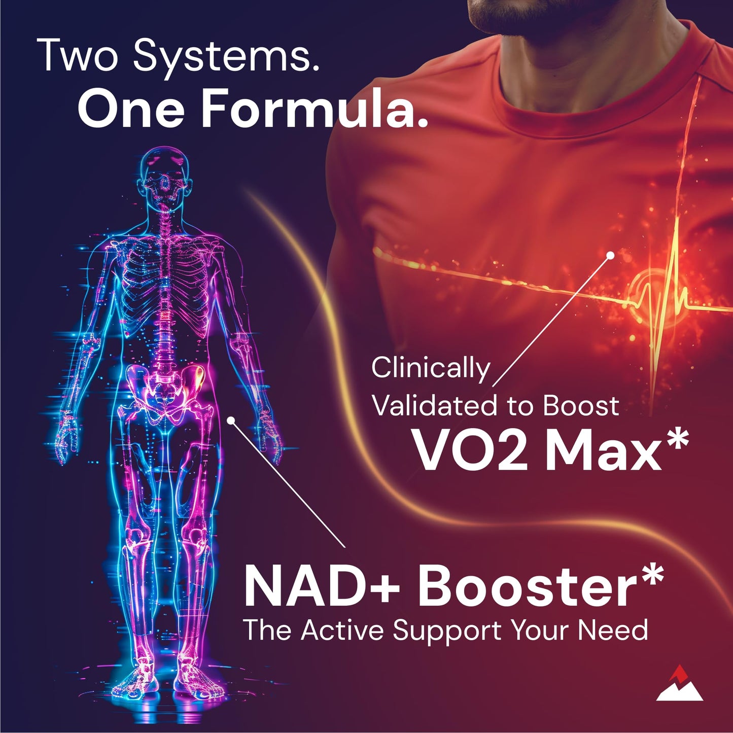 Novex Biotech Oxydrene NAD+ Enhancer - Natural Supplement Promoting Metabolism and Cardiovascular Support for Men and Women - (60 Capsules) Novex BiotechBuy Supplements Australia