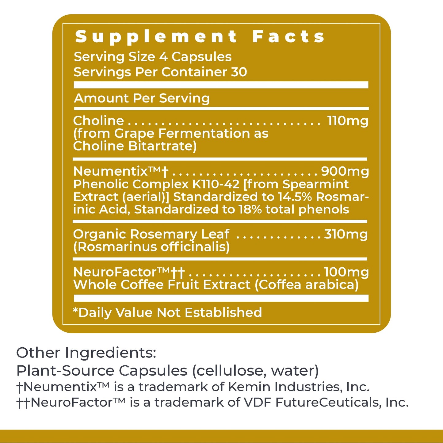 Premier Research Labs Cognitropic - Supplements for Memory and Focus, Focus Supplement, Brain and Memory Power Boost, Clarity Vitamins