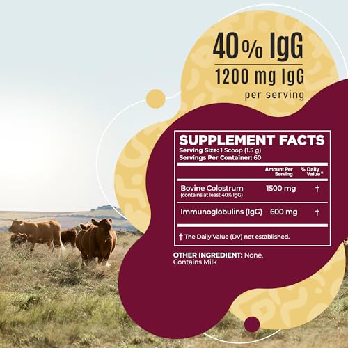 Bovine Colostrum Powder - 40% IgG Highly Concentrated Pure Bovine Colostrum - Maple Wellness Supplements