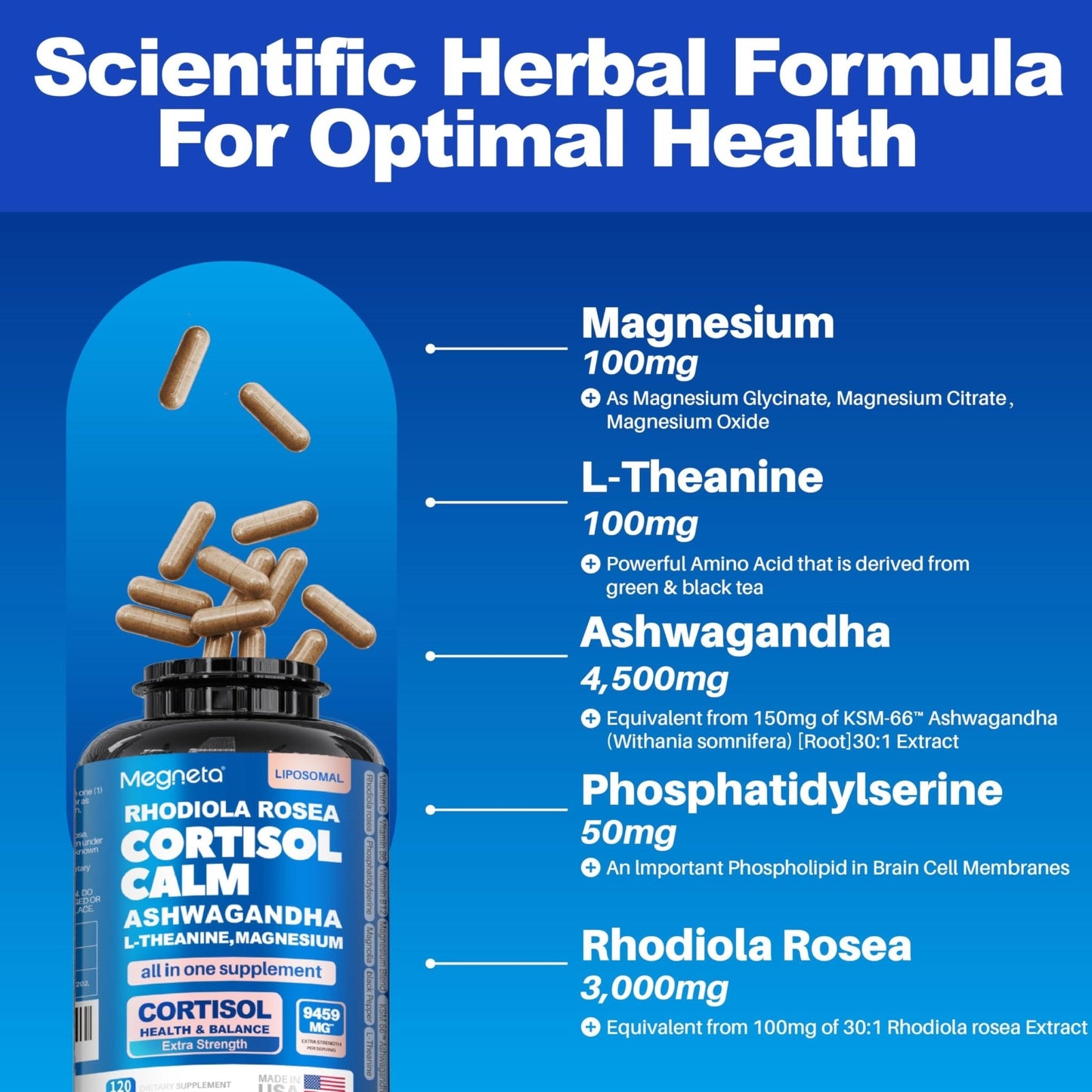 Cortisol Balance & Sleep Support for Women & Men – Natural Calm Formula with Magnesium, Ashwagandha & L-Theanine – Supports Restful Sleep, Relaxation, Focus & Healthy Cortisol Levels – 120 Capsules - Maple Wellness Supplements