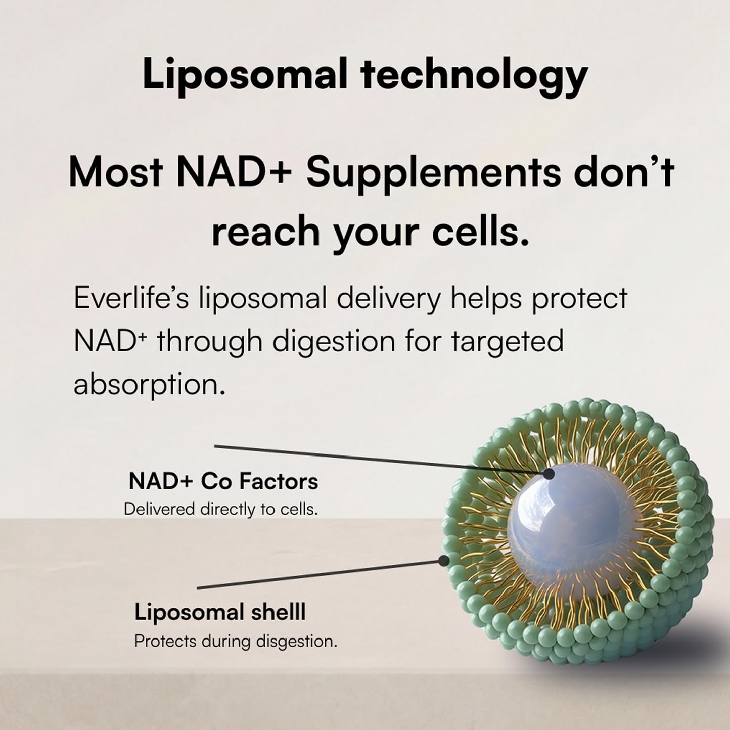 Everlife Liposomal NAD+ Liquid Supplement – 150mg Shot with Liposomal Trans-Resveratrol, TMG & Glycine – Boosts Energy, Cellular Repair, Healthy Aging & Longevity – NMNH Alternative – 30 Servings - Maple Wellness Supplements