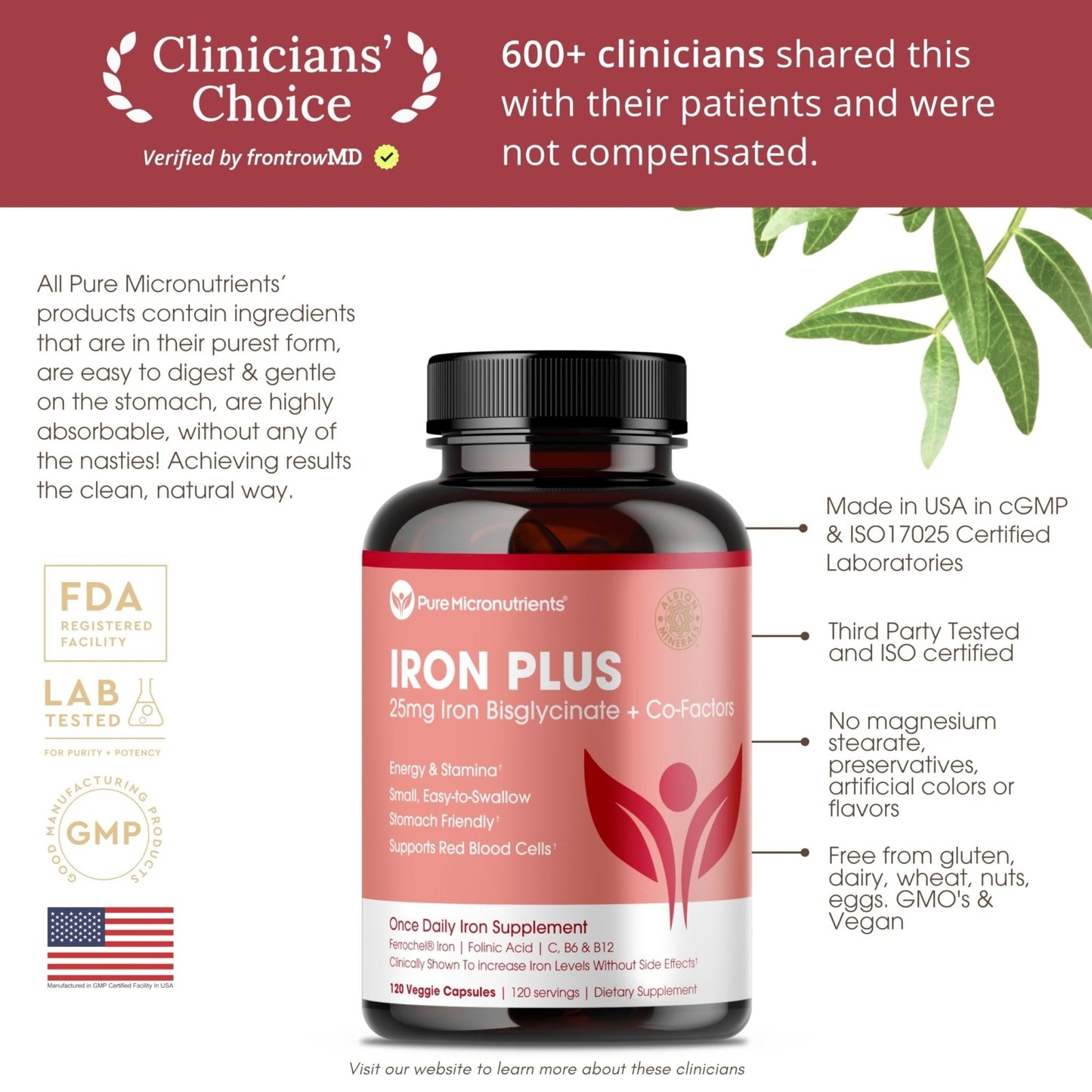 Iron Supplement for Women - Gentle Chelate Iron Bisglycinate 25mg with Vitamin C, B6, B12 Folic Acid – Supports Iron Deficiency - Maple Wellness Supplements