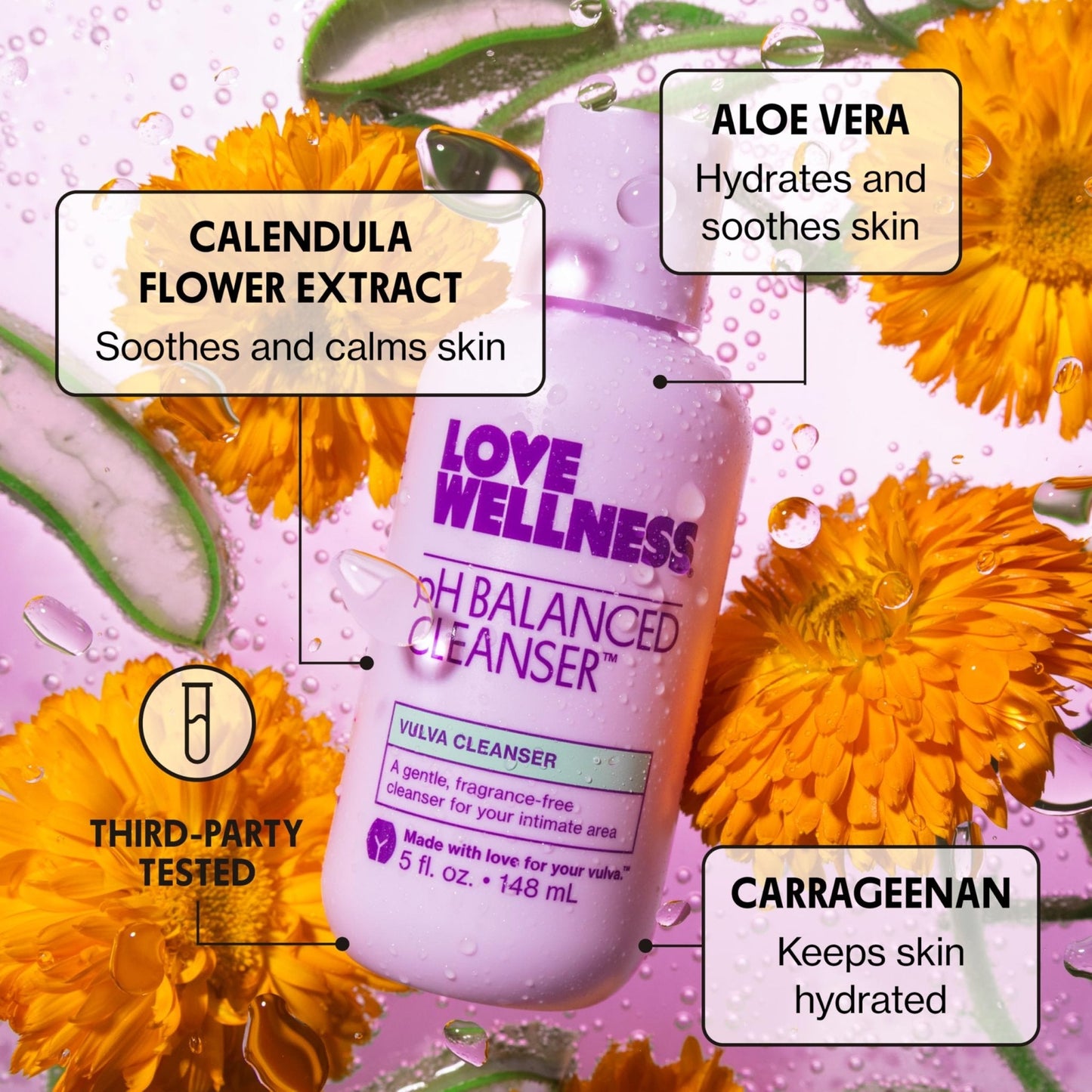 Love Wellness pH Balancing Cleanser | Feminine Vaginal Wash | Fragrance-Free | Vaginal Cleanser for Balanced pH, Intimate Health & Hygiene | Non-Irritating with Aloe Vera for Sensitive Skin | 5 Fl Oz - Maple Wellness Supplements