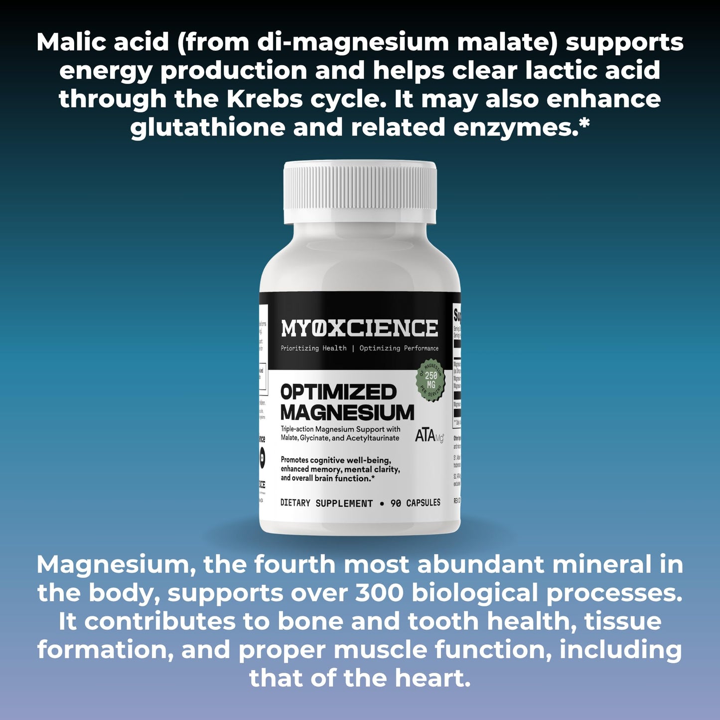 MYOXCIENCE Optimized Magnesium Glycinate + Magnesium Taurate (as ATAmag®) for High Brain Bioavailability to Support Stress Relief and Sleep | 30 Servings - Maple Wellness Supplements