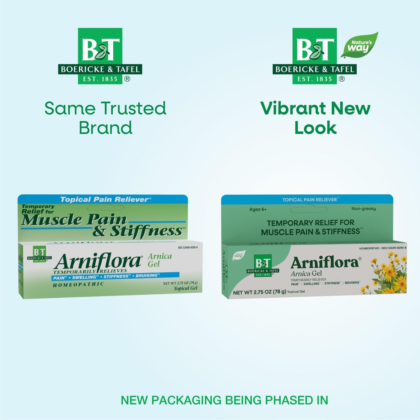 Nature's Way Boericke & Tafel Arniflora Arnica Gel, Temporarily Relieves Pain*, Swelling*, Stiffness*, 2.75 Oz (Packaging May Vary) - Maple Wellness Supplements