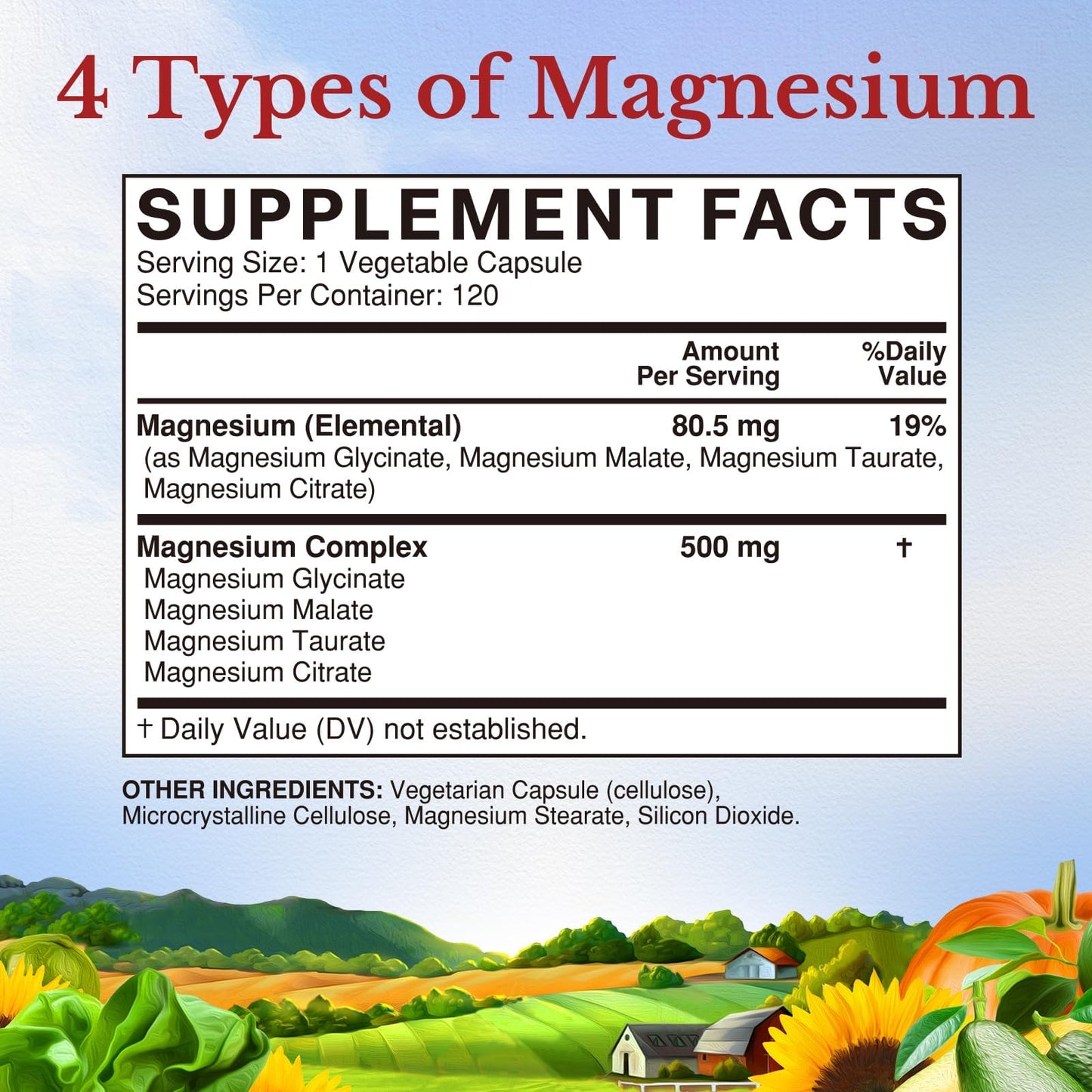 Vitalitown Magnesium Complex Supplement 500mg - NSF Certified Magnesium Glycinate, Malate, Taurate & Citrate - Chelated High Absorption & Gentle on Stomach - Vegan Non-GMO 120 Capsules - Maple Wellness Supplements