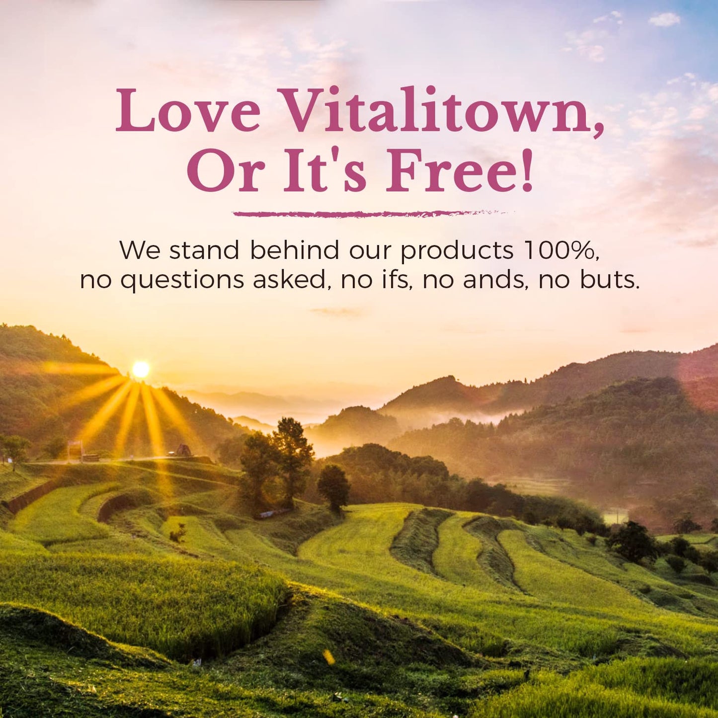 Vitalitown Probiotics for Women 120 Billion CFUs, 30 Strains, with Prebiotics & Digestive Enzymes & Cranberry, Gut & Vaginal Health, Vegan 30 - Maple Wellness Supplements