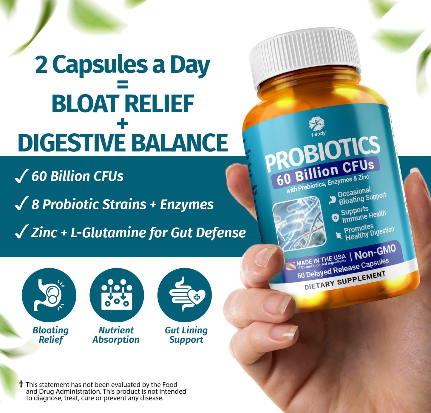 1 Body Probiotic 60 Billion for Men & Women, Gut Health Support with Prebiotics, Digestive Enzymes, Zinc & L-Glutamine, Non-GMO, 60 Vegan Capsules - Maple Wellness Supplements
