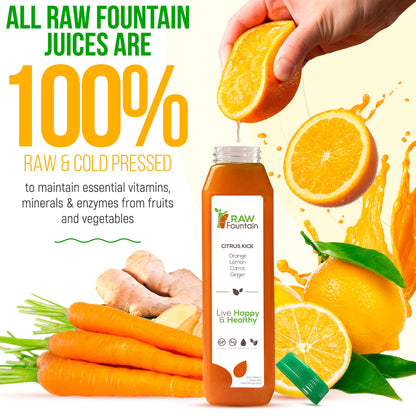 1 Day Green Juice Cleanse by Raw Fountain, All Natural Raw, Vegan Detox, Cold Pressed - Maple Wellness Supplements
