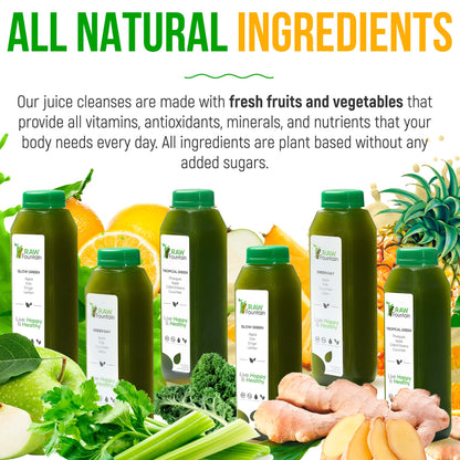 1 Day Green Juice Cleanse by Raw Fountain, All Natural Raw, Vegan Detox, Cold Pressed - Maple Wellness Supplements