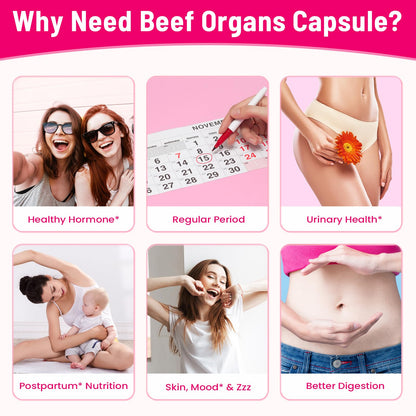 12-In-1 Beef Organ Supplement for Women - Beef Liver, Uterus, Kidney, Heart, Pancreas, 5 Vitamins & 2 Herbs, Hormone Balance, Menstruation, Energy, Immune - 100% Grass Fed, Pasture Raise - 120 Caps - Maple Wellness Supplements