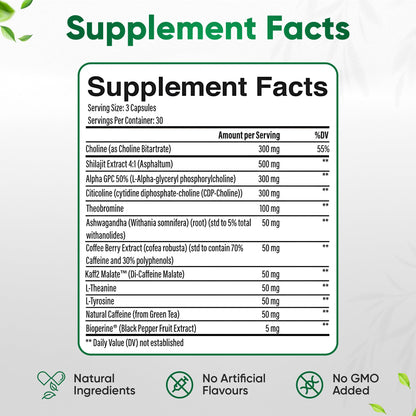 12-in-1 Natural Nootropic Brain Supplement for Memory and Focus, Nootropic for Men & Women, Brain Support Pill for Adults, Brain Vitamins - Focus 30 Day Supply - Maple Wellness Supplements