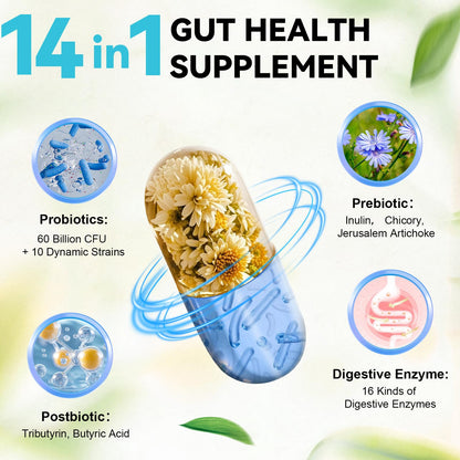 14-in-1 Gut Health with Probiotics, Prebiotics, Postbiotics & Digestive Enzymes for Women & Men, 60 Billion CFU Probiotics for Digestion, Strong Immunity, - Maple Wellness Supplements
