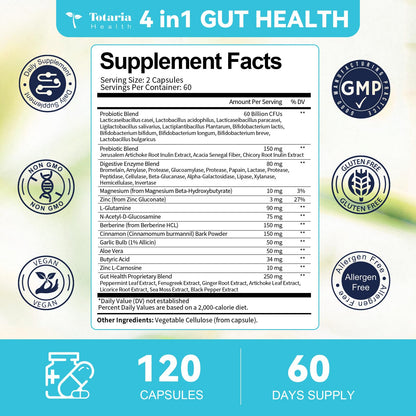 14-in-1 Gut Health with Probiotics, Prebiotics, Postbiotics & Digestive Enzymes for Women & Men, 60 Billion CFU Probiotics for Digestion, Strong Immunity, - Maple Wellness Supplements