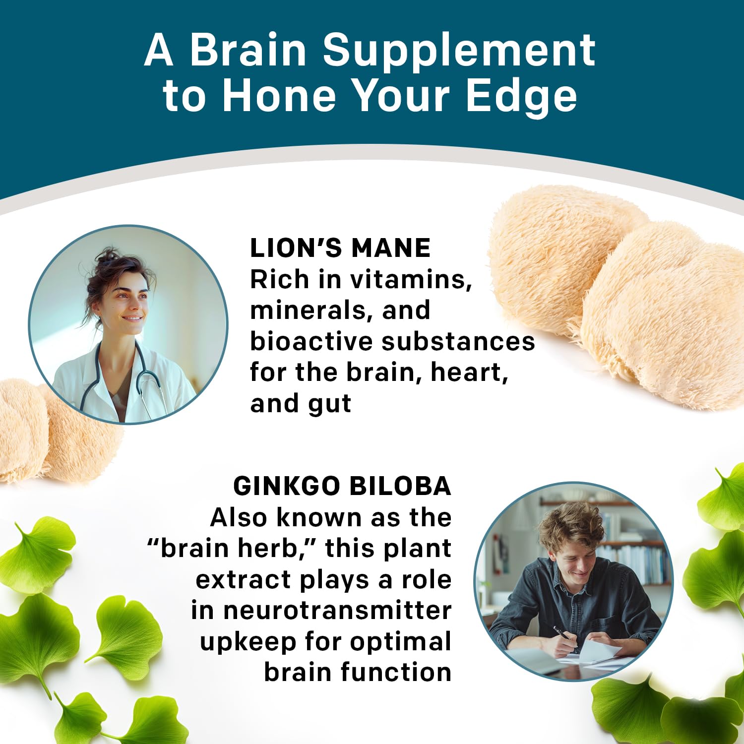 14-in-1 Lions Mane Supplement Capsules - Nootropic Brain Supplement with Ginkgo Biloba for Brain Support, Memory and Focus - Alpha GPC, L Theanine & Choline Supplements with 1300mg Per Serving (60 ct) - Maple Wellness Supplements