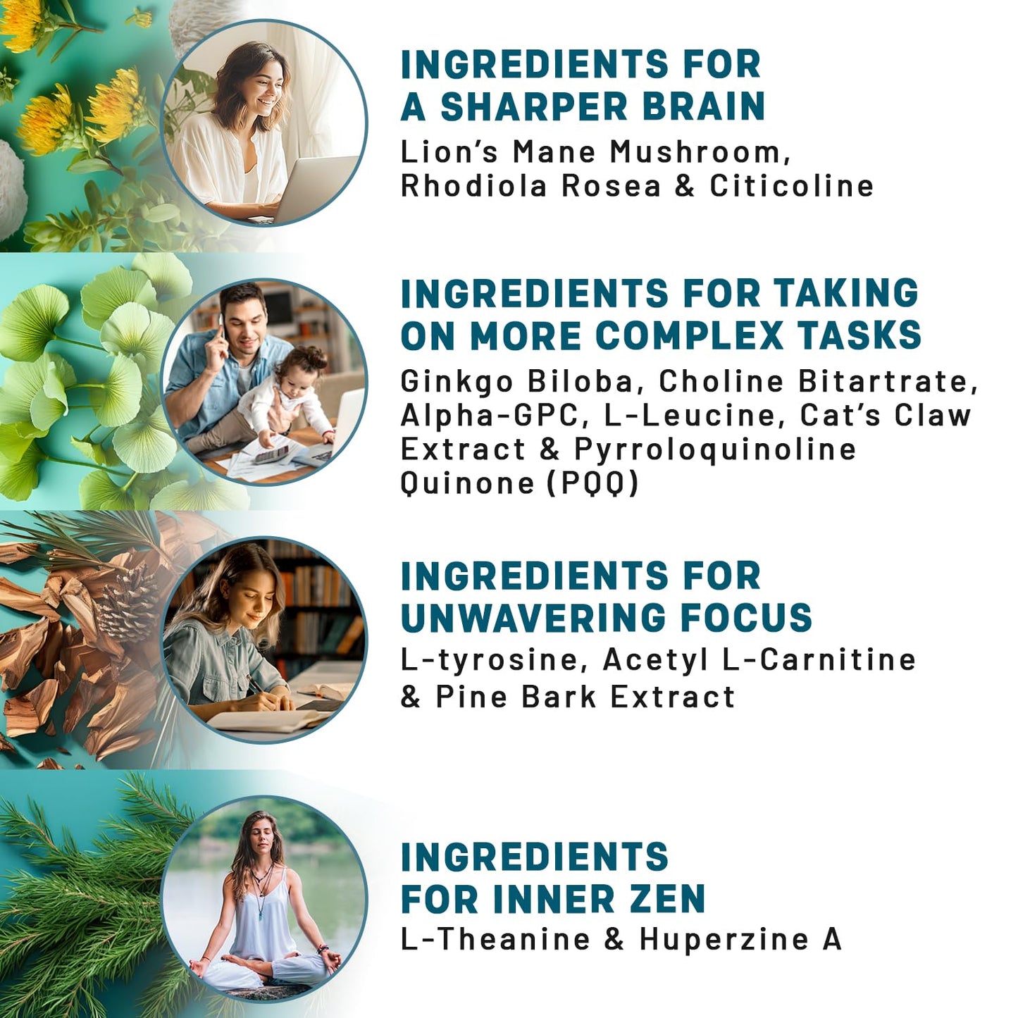 14-in-1 Lions Mane Supplement Capsules - Nootropic Brain Supplement with Ginkgo Biloba for Brain Support, Memory and Focus - Alpha GPC, L Theanine & Choline Supplements with 1300mg Per Serving (60 ct) - Maple Wellness Supplements