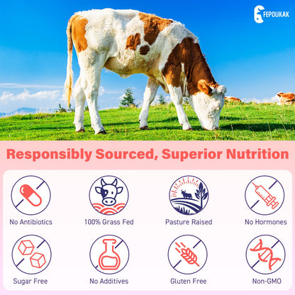 (180 Gummies) Beef Organ Supplement for Women - 5300mg Beef Liver, Kidney, Uterus & 10 More, for Hormone Balance, Menstruation, Energy, Immunity, Gut & Skin Health - 100% Grass Fed & Pasture Raise - Maple Wellness Supplements
