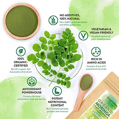 1KG Moringa Superleaf Powder Oleifera 100% Organic Raw Premium Quality Non-GMO - Maple Wellness Supplements
