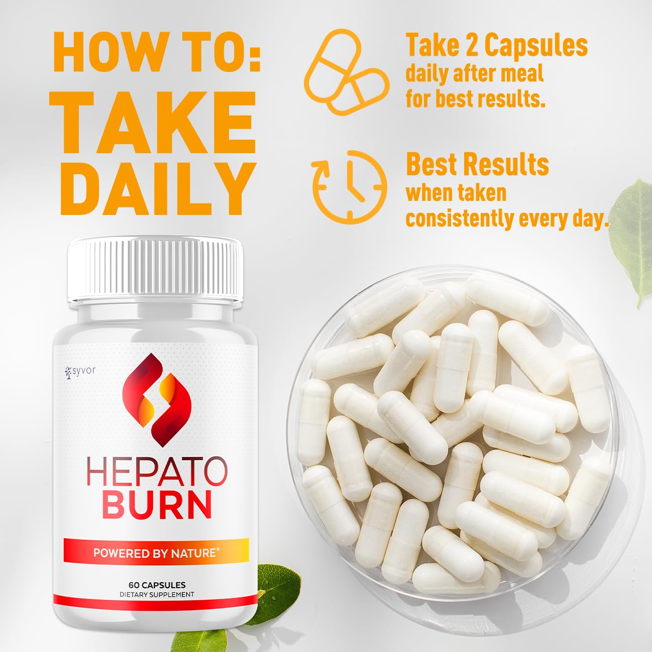 (2 Pack) Hepato Burn Capsules, Official Hepato Burn Pills with All Natural Premium Ingredients, Hepatoburn Energy and Fitness Vitamin Supplement, Hepatoburn Lifestyle Powered by Nature (120 Capsules) - Maple Wellness Supplements