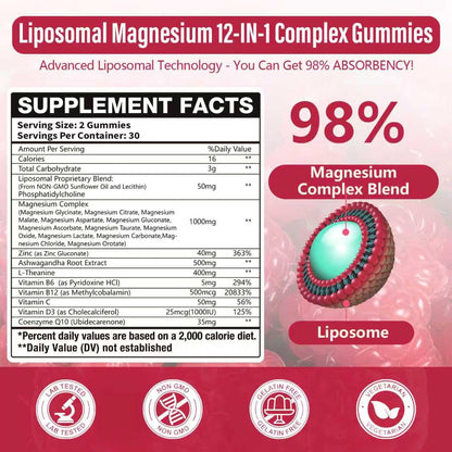 2 Packs Liposomal Magnesium Complex Gummies-as 12 Forms of Magnesium Citrate,Glycinate,Malate,Oxide,and More with Vitamin D3, B6,C, Ashwagandha & CoQ10 for Women and Men - Maple Wellness Supplements
