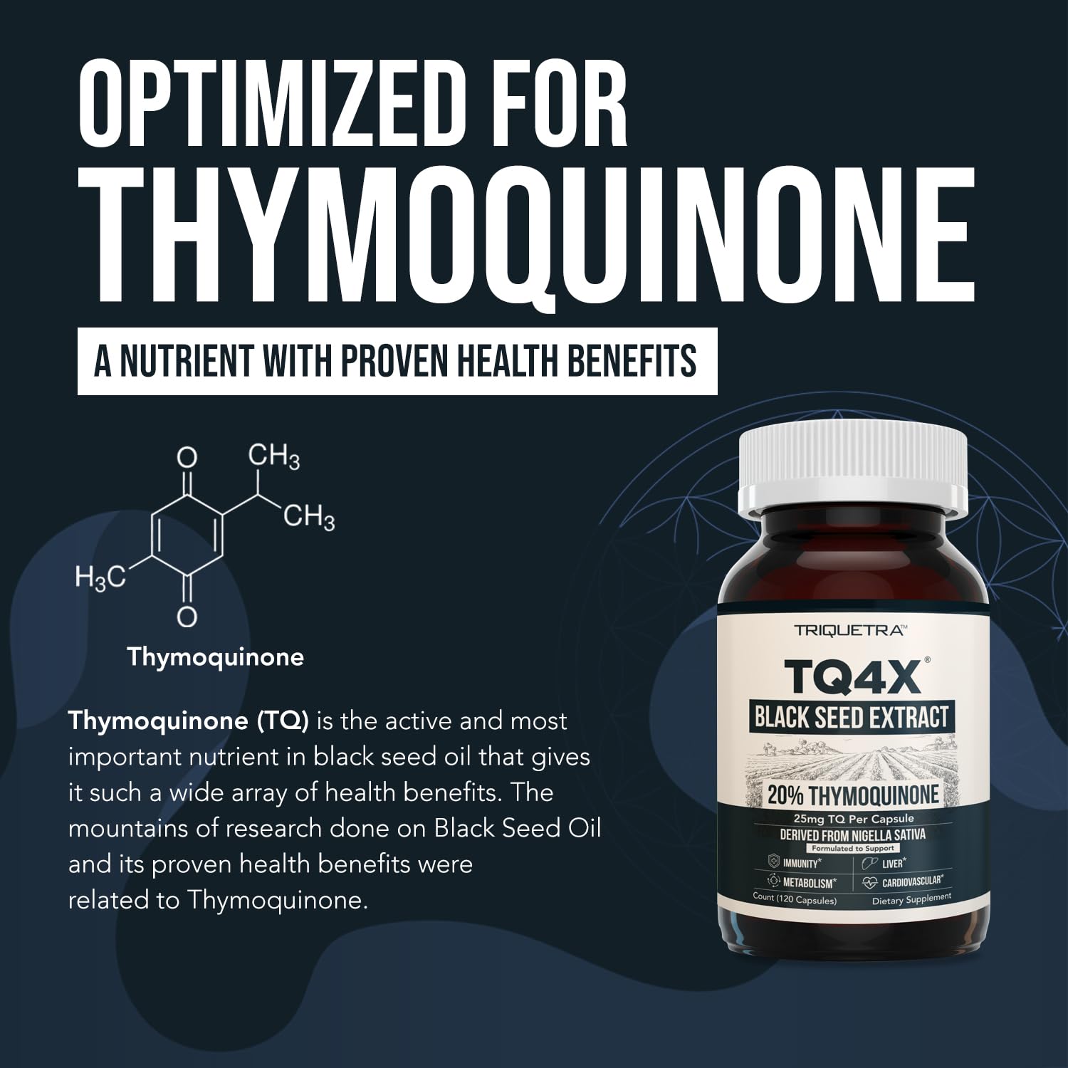 20% Thymoquinone Black Seed Extract Capsules - TQ-Advanced 4X®: Potent Thymoquinone Concentration Available - 60:1 Concentrate from Nigella Sativa - Maple Wellness Supplements