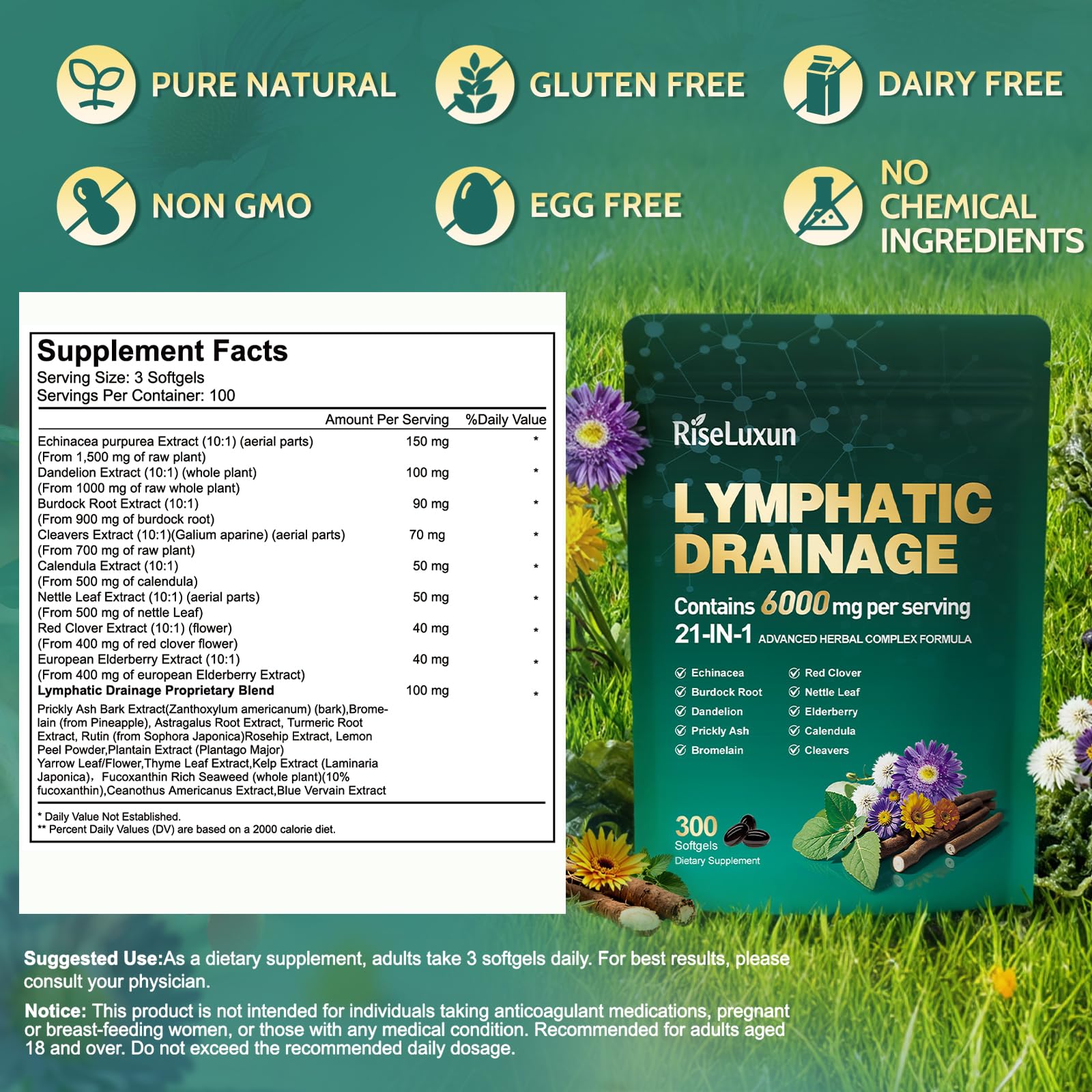 21-in-1 Liposomal Lymphatic Drainage Supplements, 100 Day Supply, 6000mg Lymph System Support for Women & Men with Echinacea, Dandelion, Burdock, Bromelain, Calendula, Turmeric & More, 300 Softgels - Maple Wellness Supplements