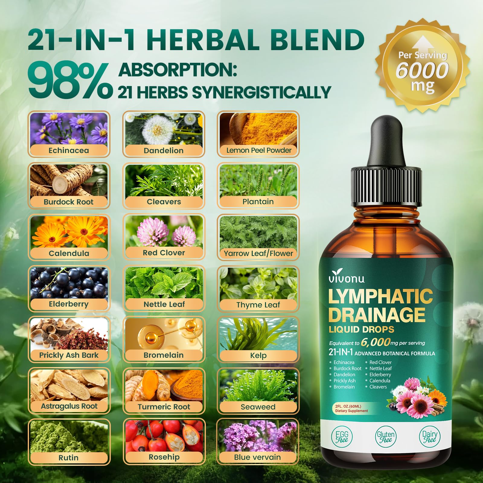 21-in-1 Lymphatic Drainage Drops for Liposomal, Immune & Lymph System Support Supplement for Women & Men with Echinacea, Dandelion - Maple Wellness Supplements