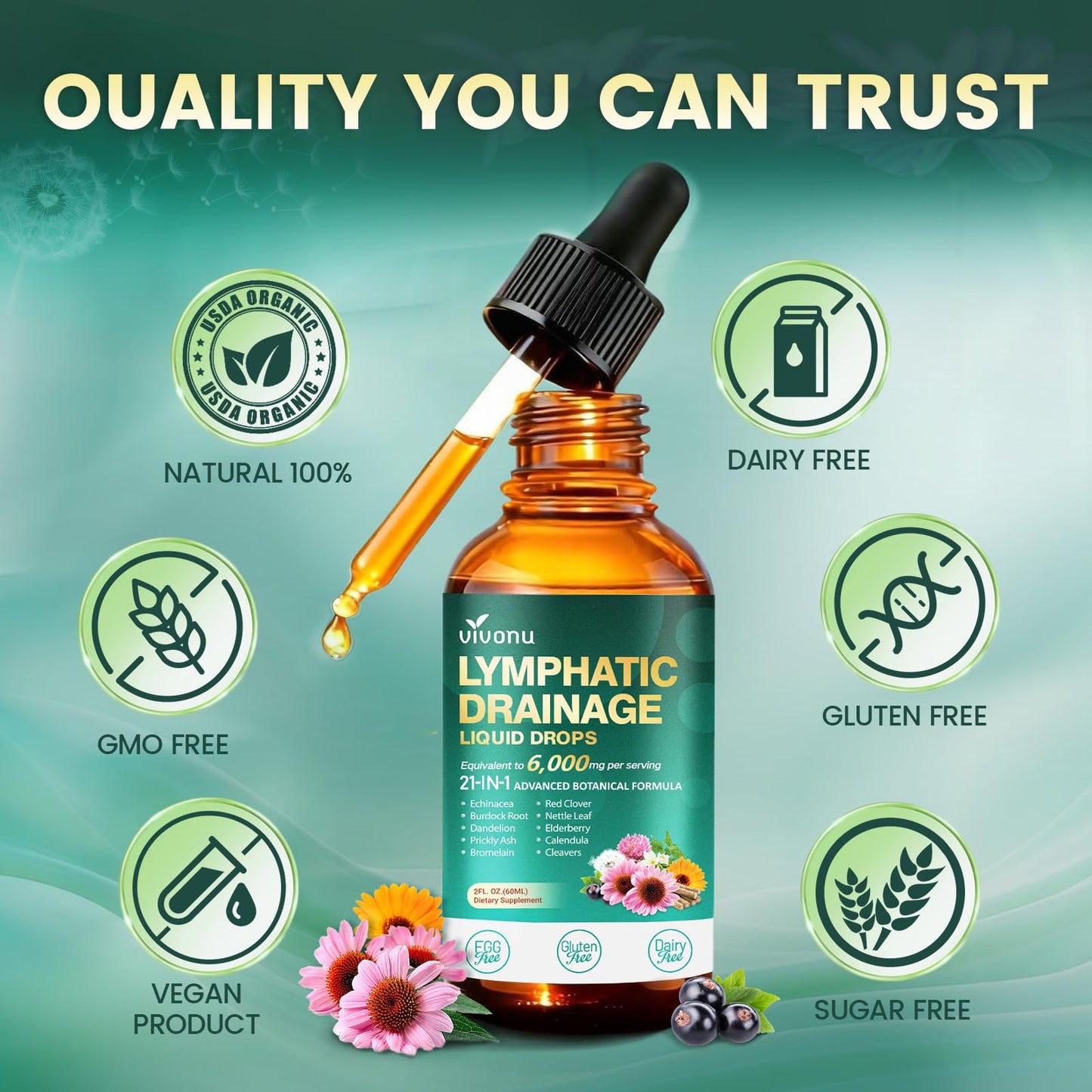 21-in-1 Lymphatic Drainage Drops for Liposomal, Immune & Lymph System Support Supplement for Women & Men with Echinacea, Dandelion - Maple Wellness Supplements