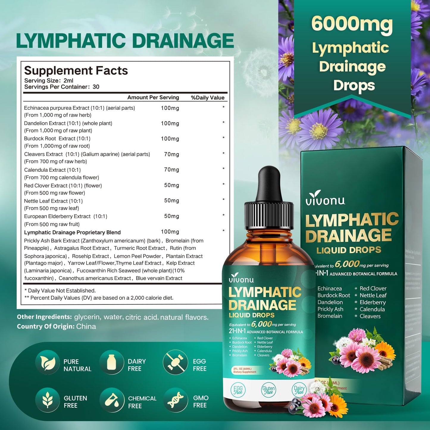 21-in-1 Lymphatic Drainage Drops for Liposomal, Immune & Lymph System Support Supplement for Women & Men with Echinacea, Dandelion - Maple Wellness Supplements