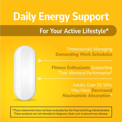 21st Century Niacinamide 500 mg Prolonged Release Tablets, 110 Count - Maple Wellness Supplements