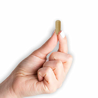 MASON NATURAL Colon Herbal Cleanser, Dietary Supplement Supports Digestive Health MASON NATURALBuy Supplements Australia