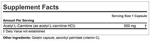 ANDREW LESSMAN Acetyl L-Carnitine 500 mg - 60 Capsules - Support for Nervous System ANDREW LESSMANBuy Supplements Australia