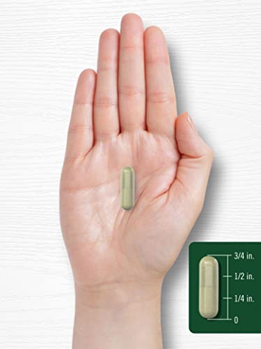 Carlyle Indole-3-Carbinol (I3C) 400mg | 120 Capsules | Advanced Formula CarlyleBuy Supplements Australia