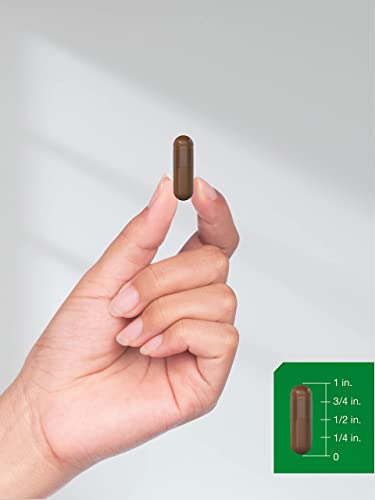 Pine Bark Extract | 6000 mg | 180 Capsules | Standardized to Contain 380 mg Proanthocyan HorbäachBuy Supplements Australia