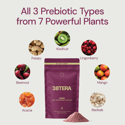 38TERA DMN (Daily Microbiome Nutrition), 6 Oz, Plant-Based Fiber Powder with 3 Different Prebiotics, Helps Digestive & Gut Health, Low FODMAP Supplement, Vegan, Wild Berry Flavor, 30 Servings - Maple Wellness Supplements
