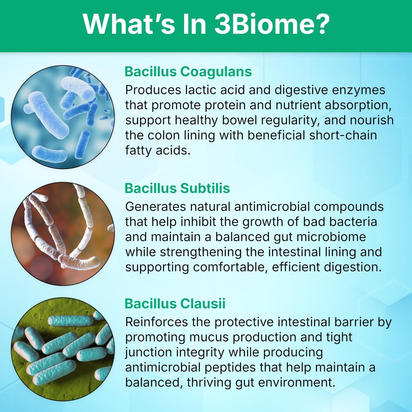 3Biome - Natural Probiotic Supplement - Non-GMO, Vegan, Gluten-Free - Maple Wellness Supplements