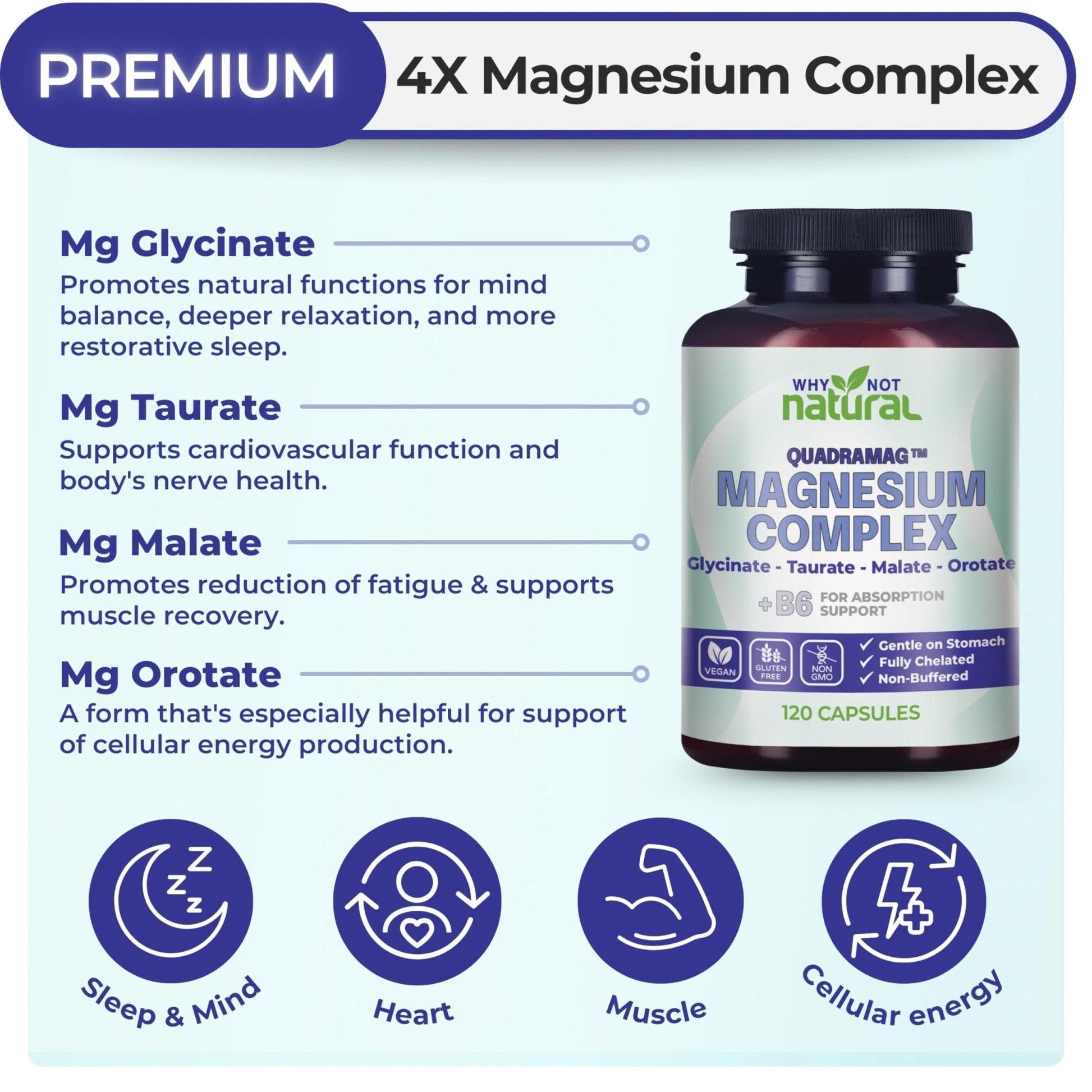 4-in-1 Magnesium Complex Supplement - Glycinate, Taurate, Malate, Orotate Blend - 300 mg per Serving, 120 Capsules - Maple Wellness Supplements