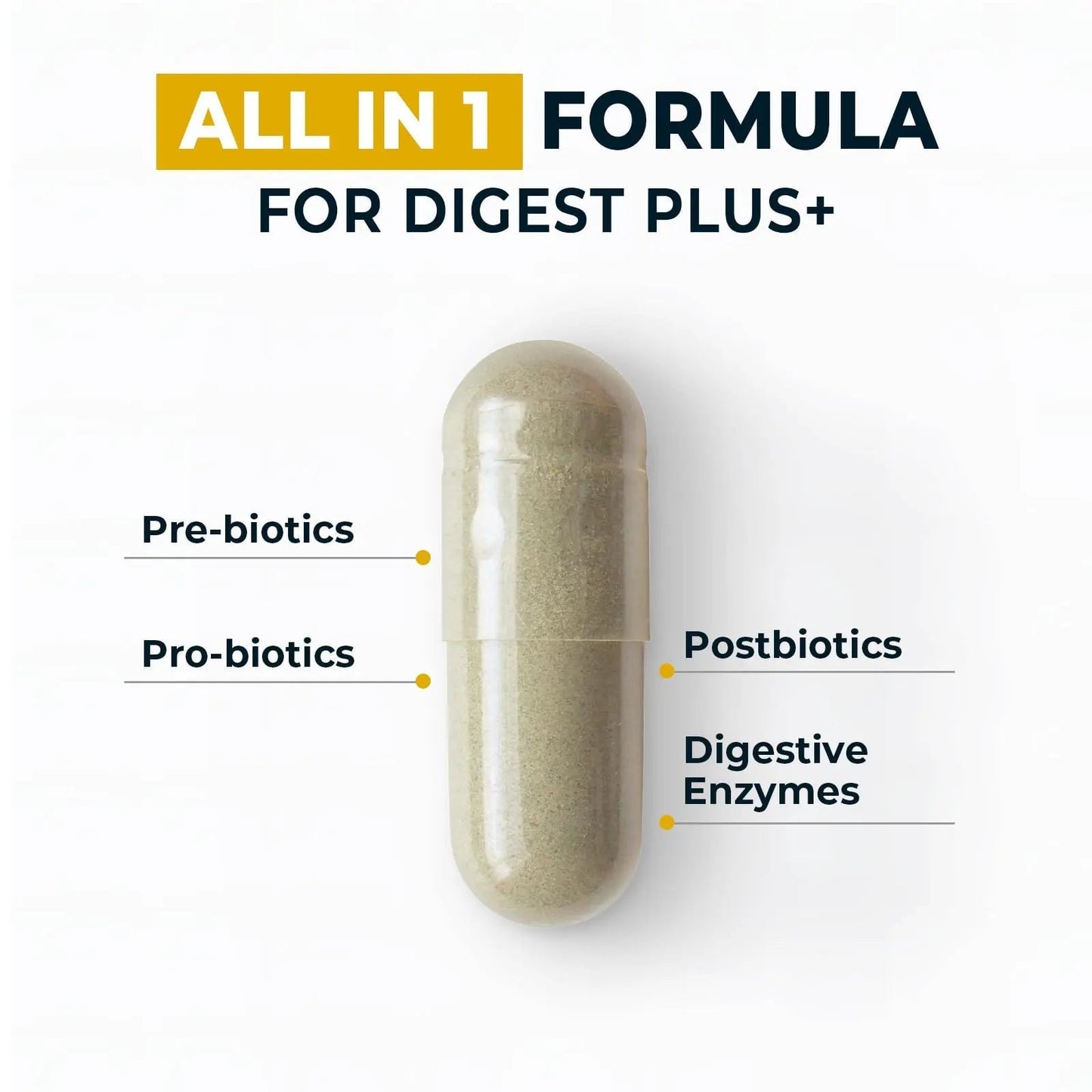 4-in-1 Prebiotic Probiotic & Postbiotic for Women & Men, Complete Gut & Digestive Support Supplement, Pre Post Probiotics & Digestive Enzymes 60 Capsules,Made in USA - Maple Wellness Supplements