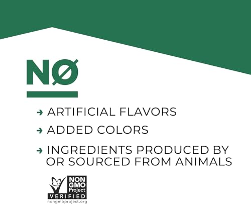 Evolve Plant Based Protein Shake, Vanilla Bean, 20g Vegan Protein, Dairy Free EvolveBuy Supplements Australia