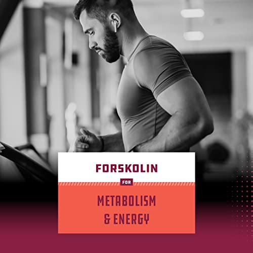 Max Strength Forskolin Weight Loss Supplement for Men and Women - Fast Acting Diet Pills Natures CraftBuy Supplements Australia