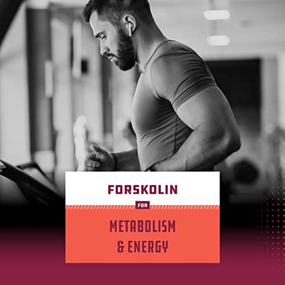 Pure Forskolin Extract for Weight Loss Supplement Powerful Antioxidant - Maximum Strength Natures CraftBuy Supplements Australia