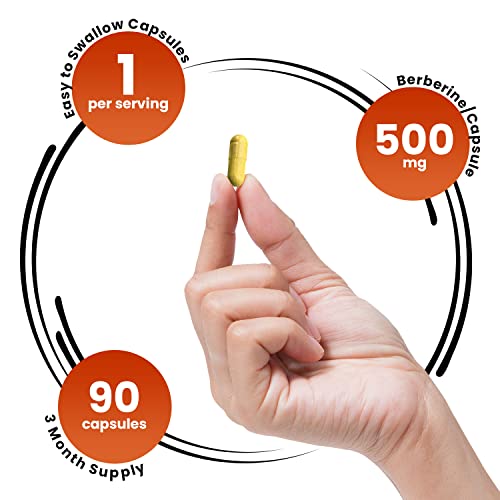 GENEX Berberine HCl 500mg (90 Capsules) | Powerful AMPK Activator, Supports Heart Genex FormulasBuy Supplements Australia