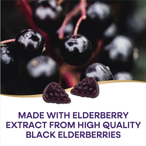Nature's Way Sambucus Elderberry Immune Gummies, Daily Immune Support Nature's WayBuy Supplements Australia