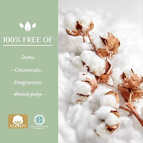 Organyc 100% Certified Organic Cotton Folded Panty Liner, Ultra Thin, Light Flow, 24 Count OrganycBuy Supplements Australia