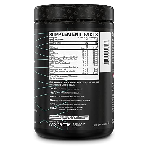 Jacked Factory Nitrosurge Max Nootropic Pre Workout Powder - Premium Pre Workout Jacked FactoryBuy Supplements Australia