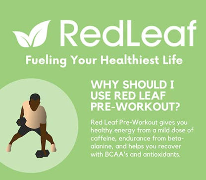 Red Leaf Pre Workout Energizer Powder, BCAA's, Beta-Alanine, Amino Acids and Green Tea Red LeafBuy Supplements Australia